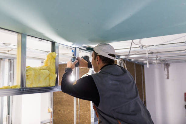 Best Attic Insulation Installation  in Eastlake, OH